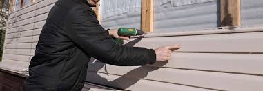 Best Custom Trim and Detailing for Siding  in Altamont, KS